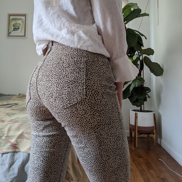NWT NYDJ animal print jeans cropped - Picture 2 of 5